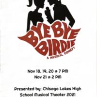 Playbill for "Bye Bye Birdie"